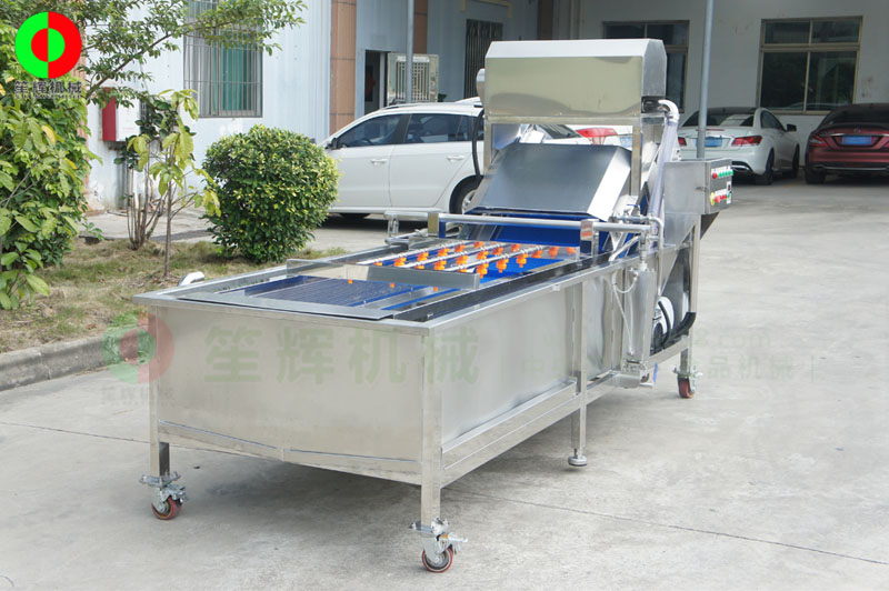 全網鏈輸送洗菜機