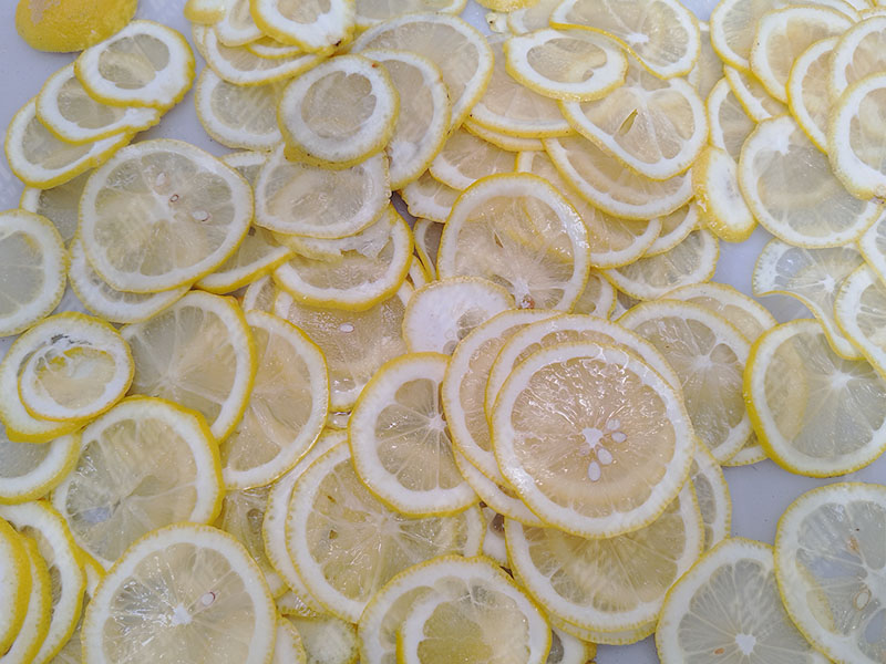 檸檬切片機(jī)