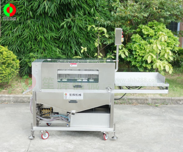 全動自殺魚機(jī)