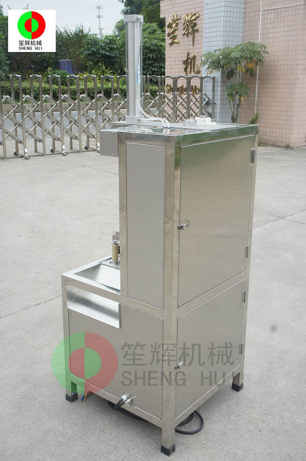 自動瓜果削皮機