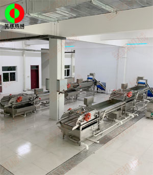 客戶現場兩條蔬菜清洗加工生產線順利安裝調試完成！