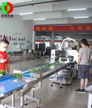 枕式蔬果包裝生產線,客戶現場測試驗收！