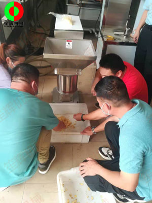 江門客戶謝先生親臨我司測試生姜清洗脫皮及打碎設備！