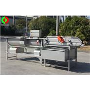 加強型渦流式洗菜機 WL-24(視頻)