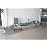 打蛋生產線/清洗、風干、光檢、24頭打蛋生產線(視頻)